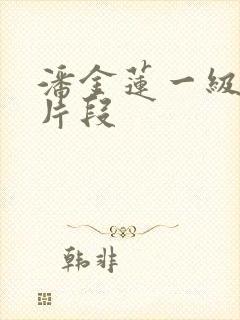 潘金莲一级黄色片段封面