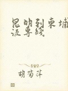 昆明到柬埔寨物流专线