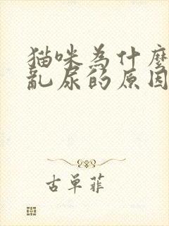 猫咪为什么乱拉乱尿的原因