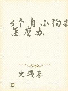 3个月小狗拉稀怎么办封面