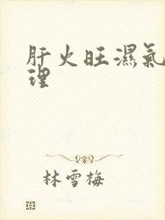 肝火旺湿气重调理