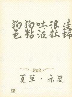 狗狗吐很淡的粉色粘液拉稀