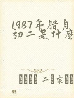 1987年腊月初二是什么命