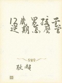 12岁男孩子叛逆期怎么管教最合适