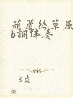 葫芦丝草原美降b调伴奏