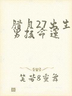 腊月27出生的男孩命运