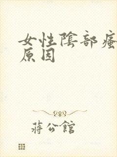 女性阴部瘙痒的原因