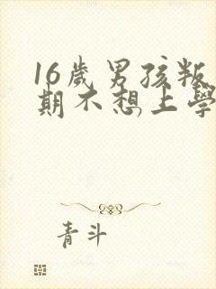 16岁男孩叛逆期不想上学怎么办