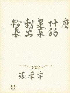 粉刺是什么原因长出来的