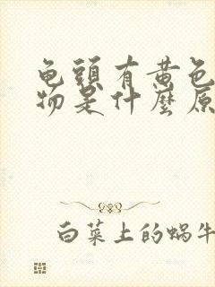 龟头有黄色分泌物是什么原因封面