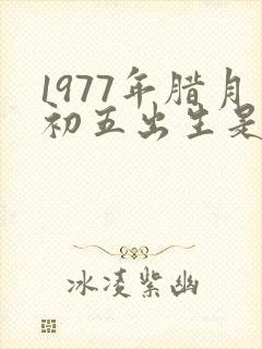 1977年腊月初五出生是什么命