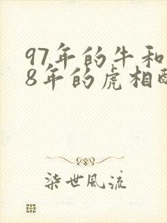 97年的牛和98年的虎相配吗封面