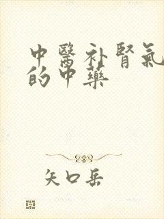 中医补肾气亏虚的中药封面