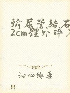 输尿管结石1.2cm体外碎石得多少钱封面