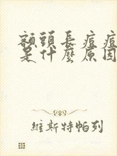 额头长痘痘粉刺是什么原因封面