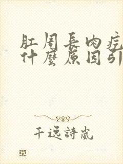 肛周长肉疙瘩是什么原因引起的