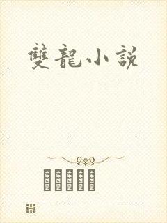 双龙小说