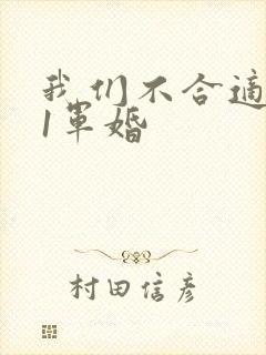 我们不合适1v1军婚封面