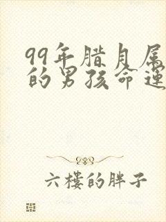 99年腊月属兔的男孩命运封面