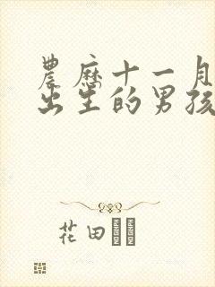 农历十一月十八出生的男孩子命运好吗?