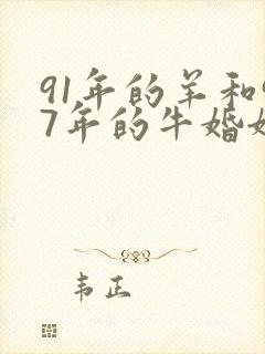 91年的羊和97年的牛婚姻是否相配