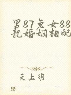 男87兔女88龙婚姻相配吗