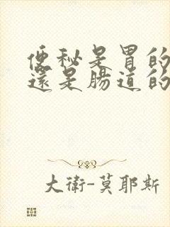 便秘是胃的问题还是肠道的问题