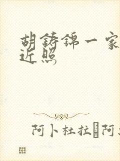 胡铸锦一家三口近照