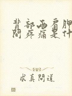 背部两肩胛骨中间疼痛是什么原因