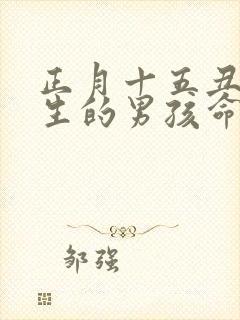 正月十五丑时出生的男孩命运封面