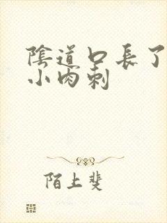 阴道口长了很多小肉刺