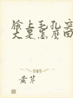 脸上毛孔突然变大是怎么回事