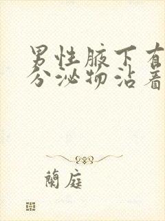 男性腋下有白色分泌物沾着腋毛有异味封面