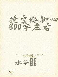 挠云缨脚心作文800字左右
