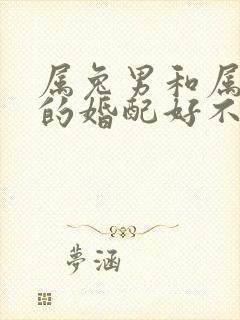 属兔男和属虎女的婚配好不好