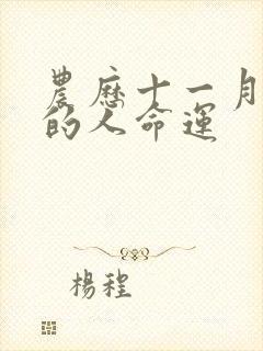 农历十一月出生的人命运封面