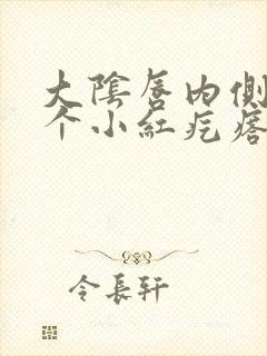 大阴唇内侧长了个小红疙瘩