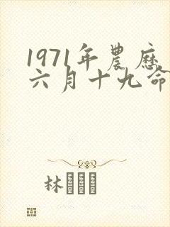 1971年农历六月十九命运如何