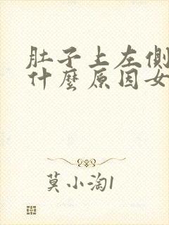 肚子上左侧疼是什么原因女性