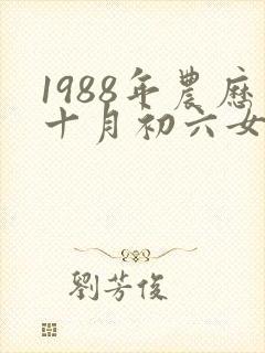 1988年农历十月初六女命运封面
