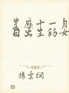 农历十一月十六日出生的女人命运封面