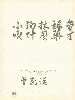 小狗拉稀带血要吃什么药才好得快