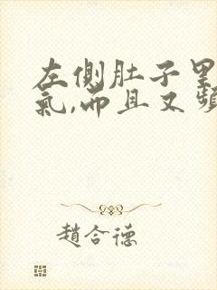 左侧肚子里有胀气,而且又频繁放屁封面