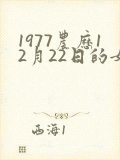 1977农历12月22日的女命运