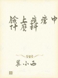 脸上痤疮中医挂什么科