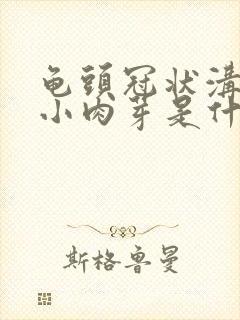 龟头冠状沟内有小肉芽是什么原因封面