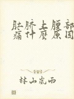 肚脐上腹部正中痛什么原因封面