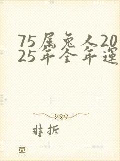 75属兔人2025年全年运势运程男性