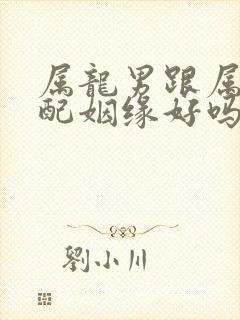 属龙男跟属兔女配姻缘好吗