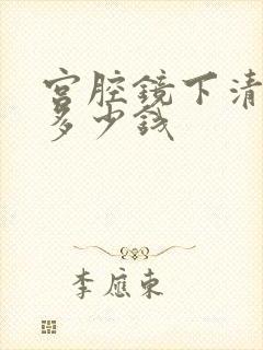 宫腔镜下清宫术多少钱